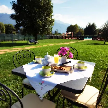 Poncia غْرافيدونا