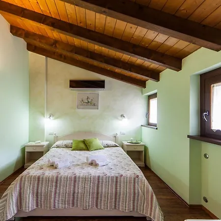 Poncia غْرافيدونا